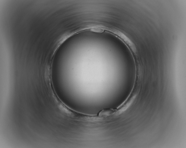 X0000112081001200908041250