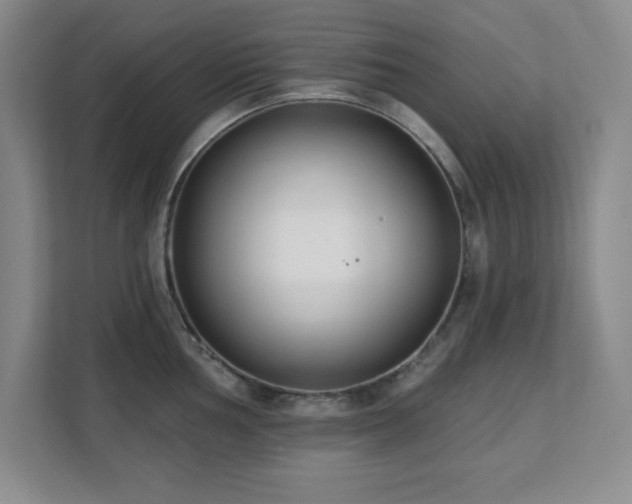 X0000112081002200908041250
