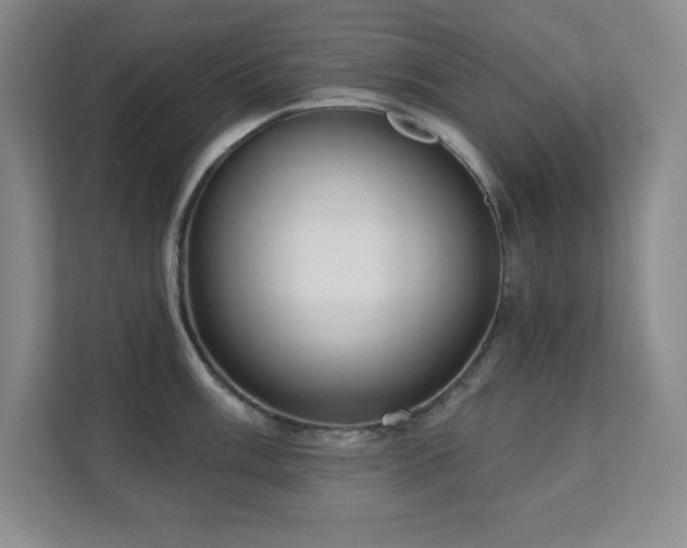 X0000112081003200908041250