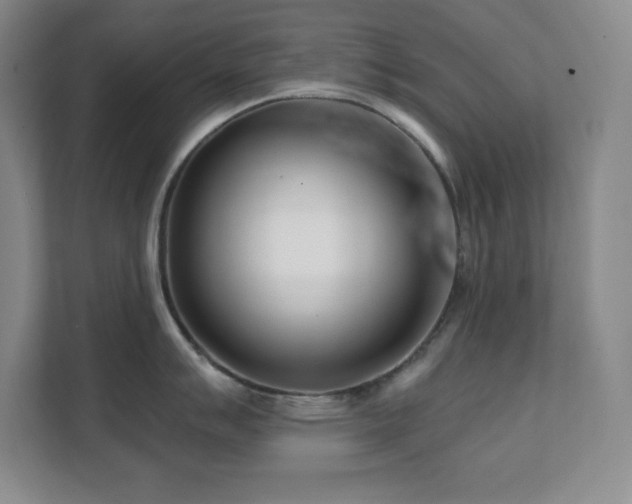 X0000112081007200908041250