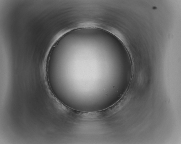 X0000112081008200908041250