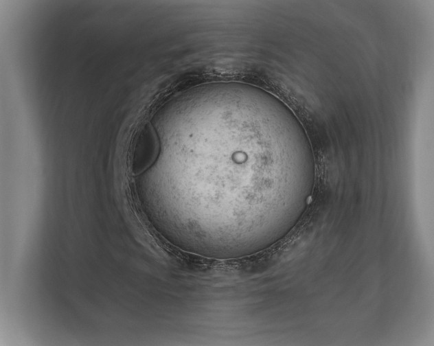 X0000112081009200908041249
