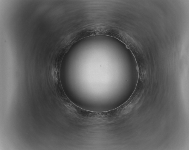 X0000112081010200908041249