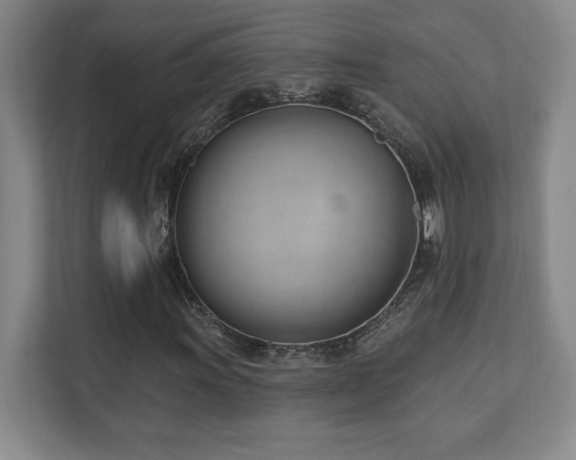 X0000112081011200908041249