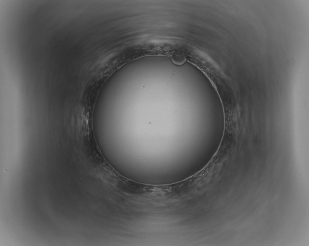 X0000112081013200908041249