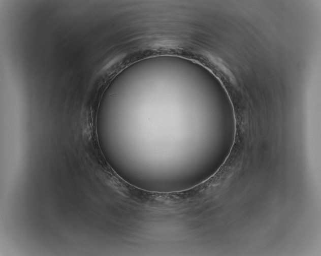 X0000112081015200908041249
