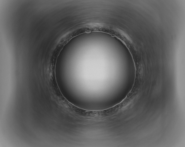 X0000112081016200908041249