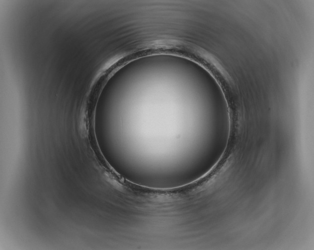 X0000112081018200908041249