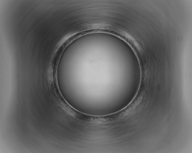 X0000112081019200908041250