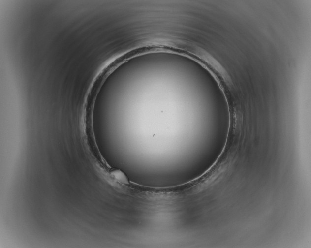 X0000112081020200908041250