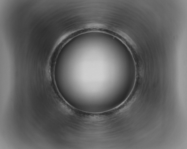 X0000112081022200908041250