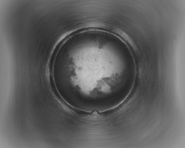 X0000112081024200908041250