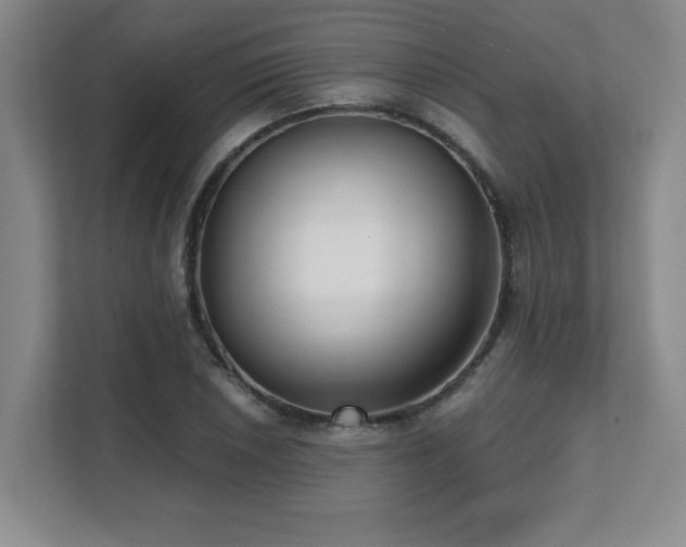 X0000112081026200908041250