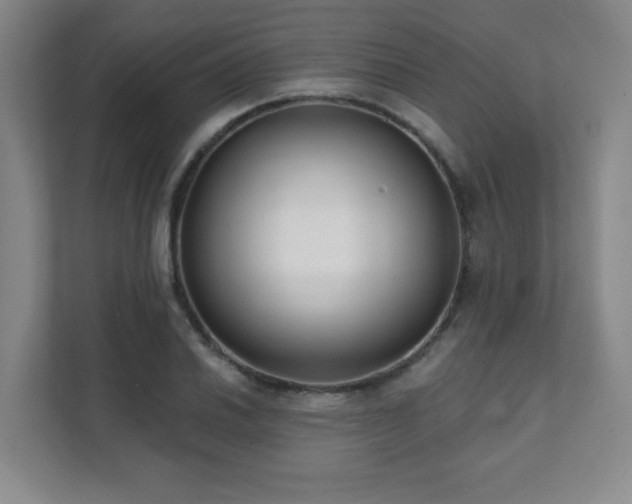 X0000112081030200908041250