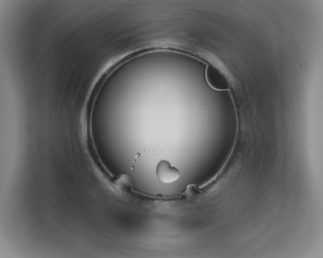 X0000112081032200908041250