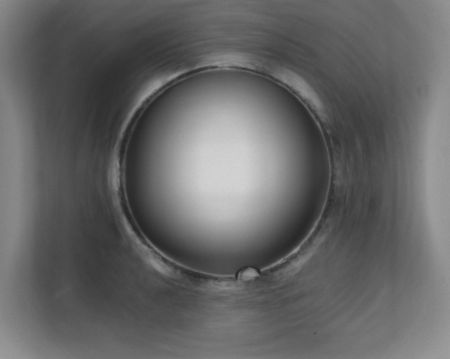 X0000112081040200908041250