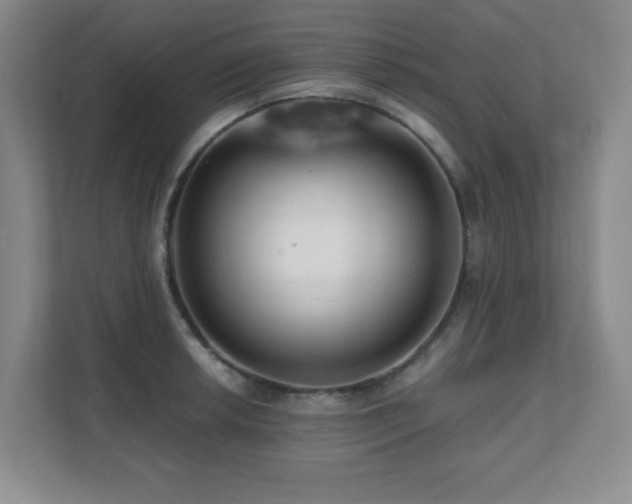 X0000112081042200908041250