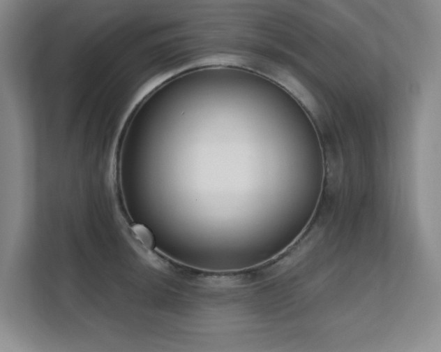 X0000112081044200908041250
