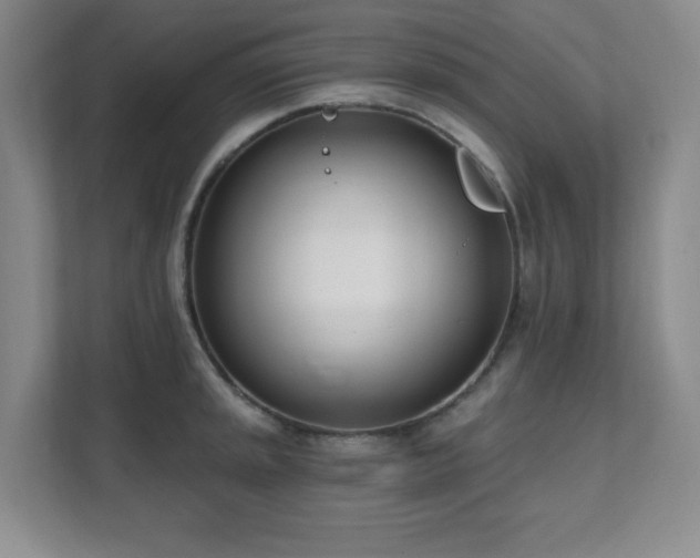 X0000112081045200908041250