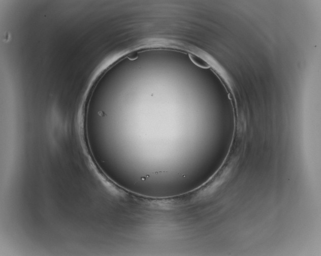 X0000112081053200908041250