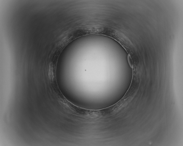 X0000112081058200908041249