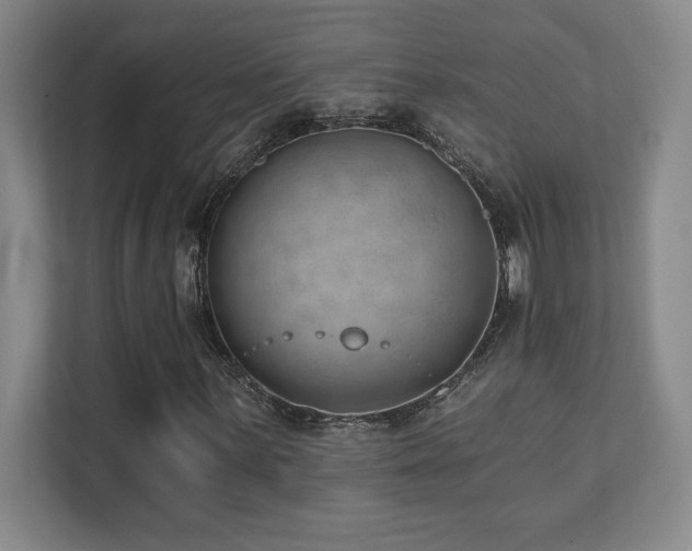 X0000112081059200908041249