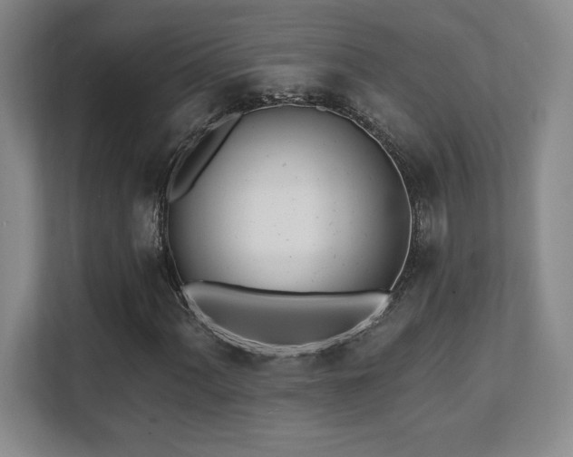 X0000112081060200908041249