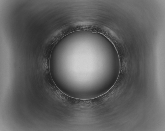 X0000112081062200908041249