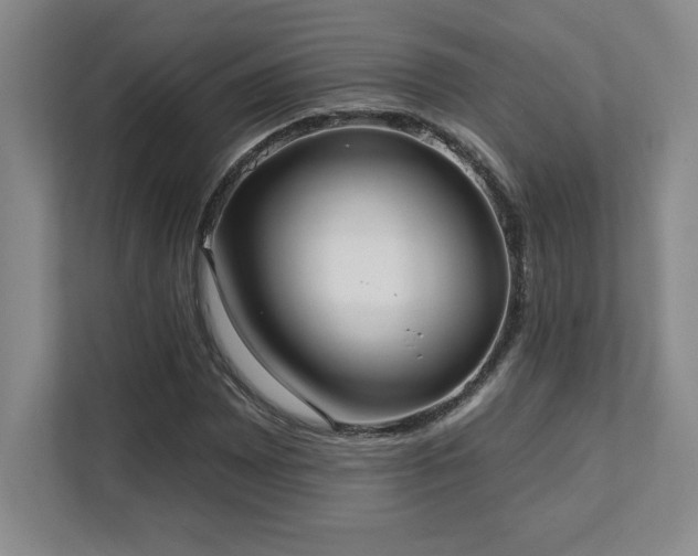 X0000112081065200908041249
