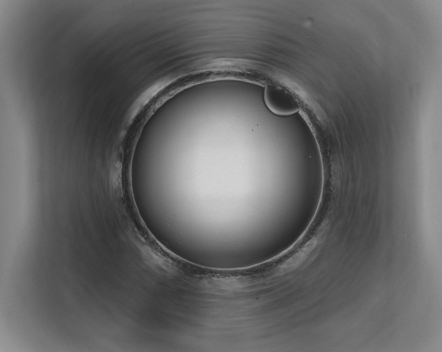 X0000112081066200908041249