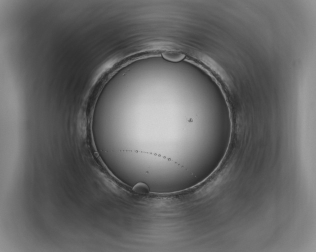 X0000112081067200908041249
