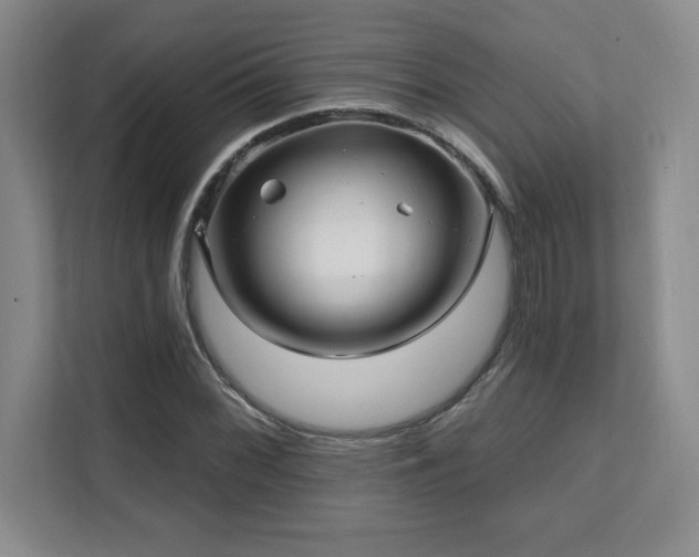 X0000112081068200908041249
