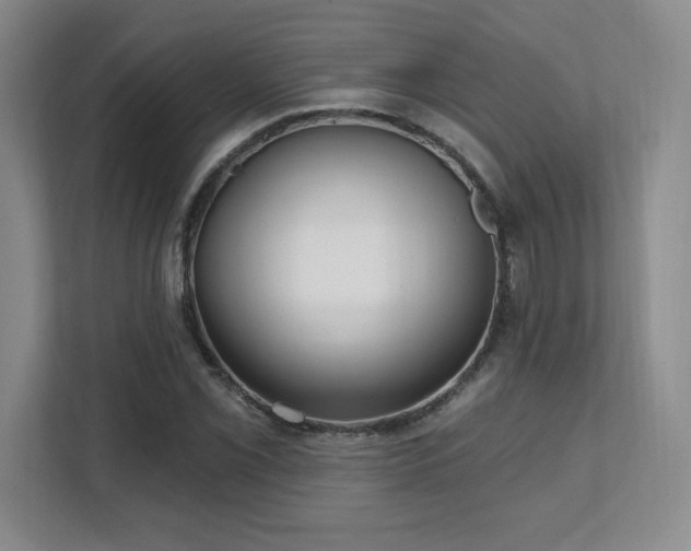 X0000112081069200908041249