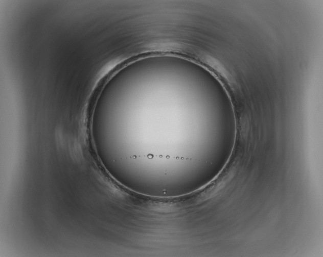 X0000112081071200908041249