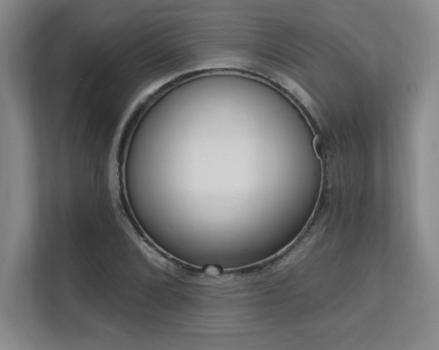 X0000112081072200908041249