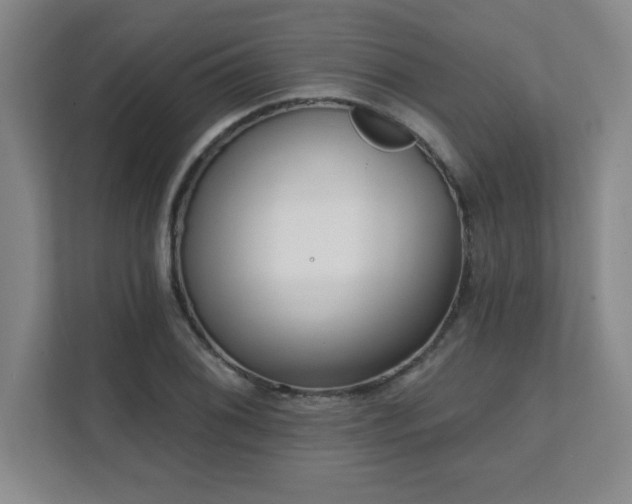 X0000112081076200908041249