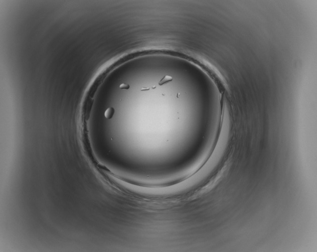 X0000112081077200908041249