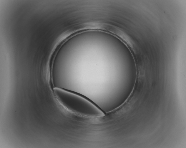 X0000112081080200908041249