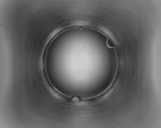 X0000112081082200908041249