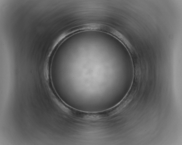 X0000112081083200908041249