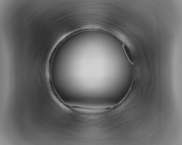X0000112081084200908041249