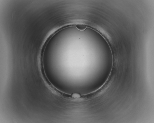 X0000112081085200908041249