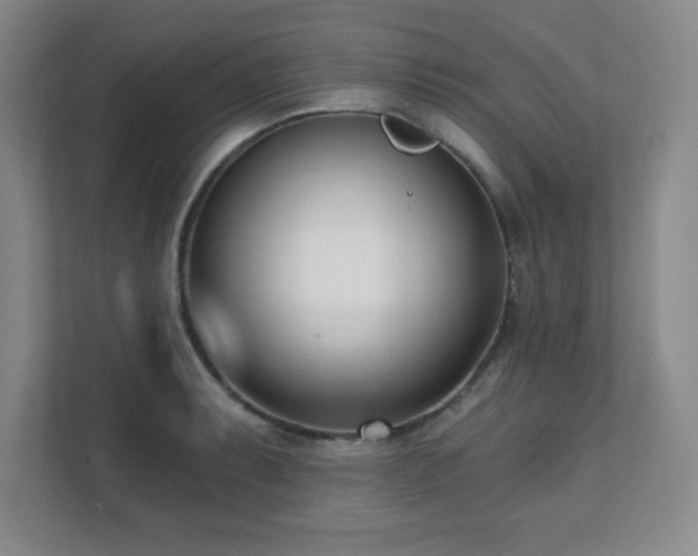X0000112081087200908041249