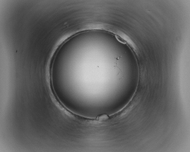 X0000112081088200908041249