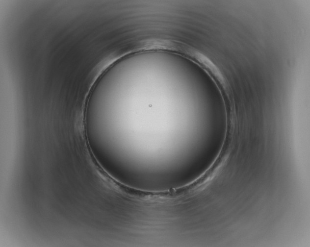X0000112081089200908041249