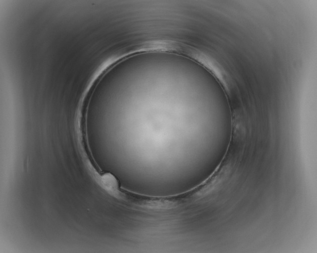 X0000112081091200908041249