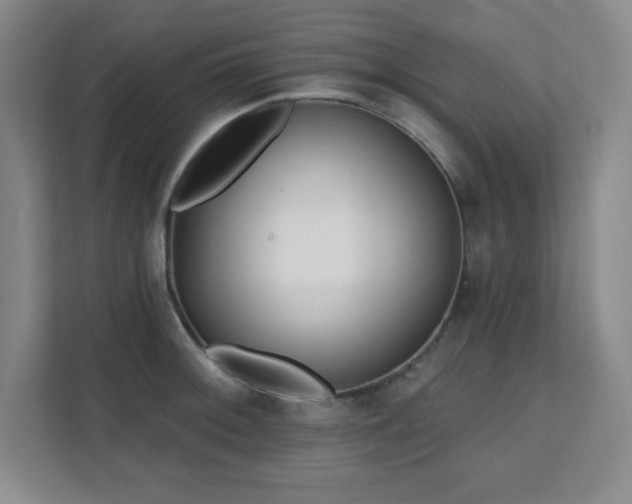 X0000112081092200908041249