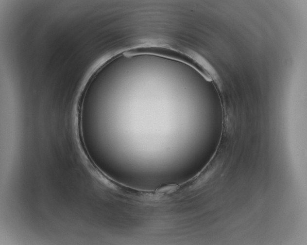 X0000112081096200908041249