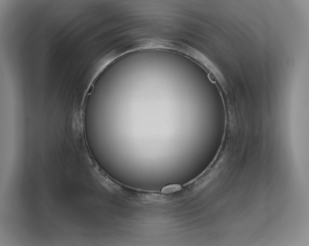 X0000112081097200908041249