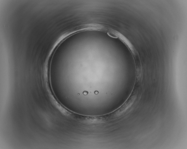 X0000112081099200908041249